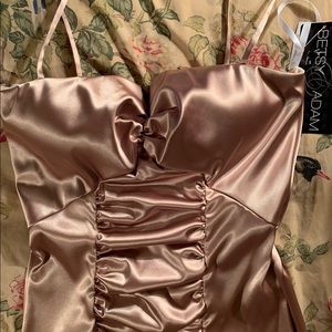 Formal Betsy Adam Goldberg satan dress